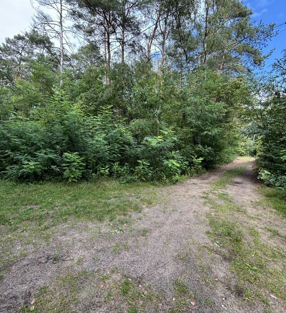 Działka na sprzedaż - Widok 2