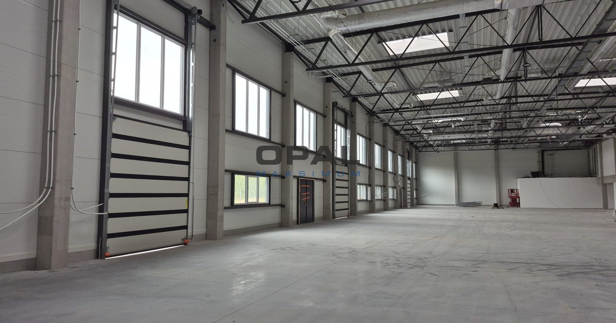 Lokal handlowy, usługowy do wynajęcia - Widok 2