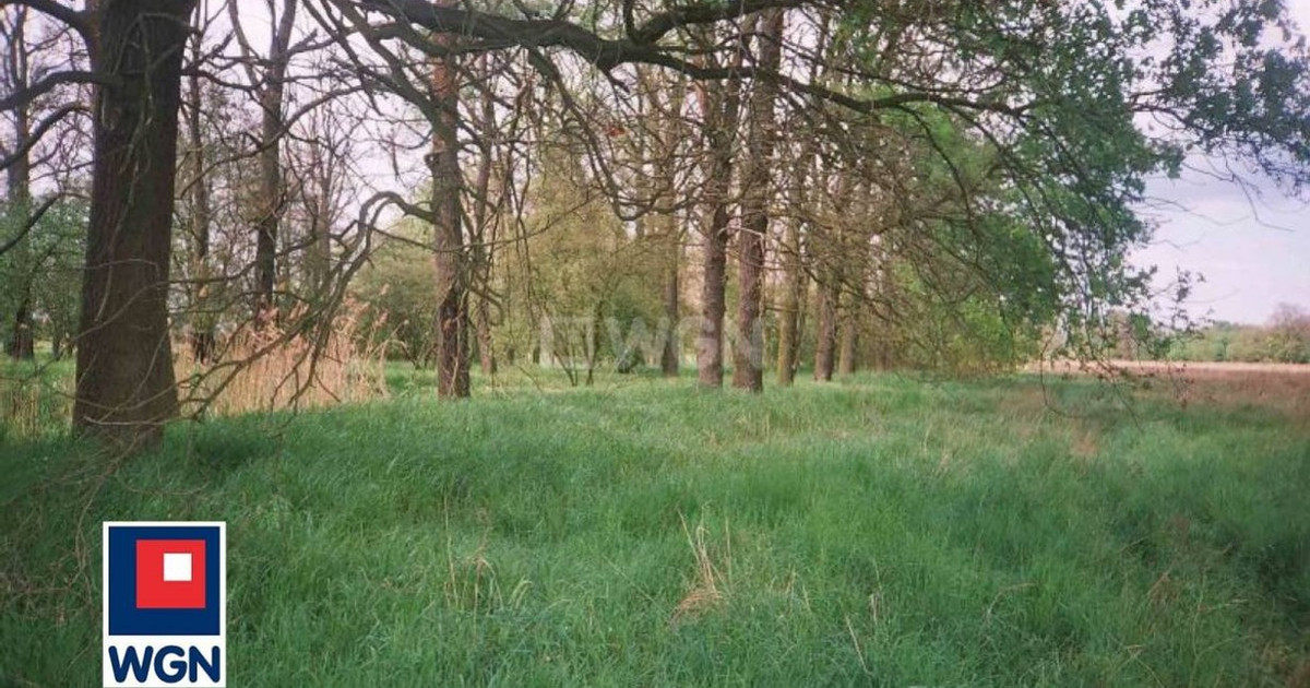 Działka na sprzedaż - Widok 2