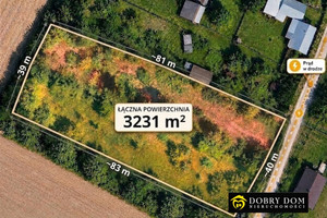 Tylwica -3200m² pod lasem. Natura na własność