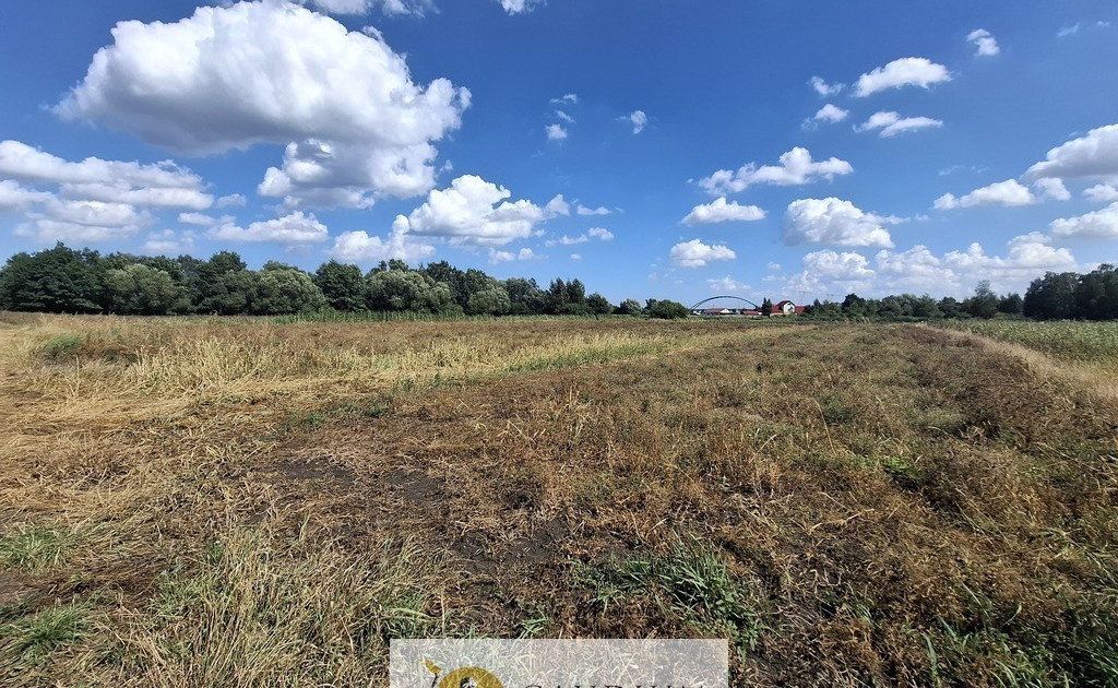 Działka na sprzedaż - Widok 2