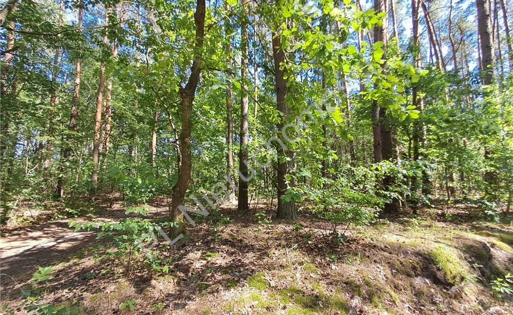 Działka na sprzedaż - Widok 2