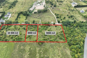 Atrakcyjna działka Dołuje 3000 m2 posiada WZ