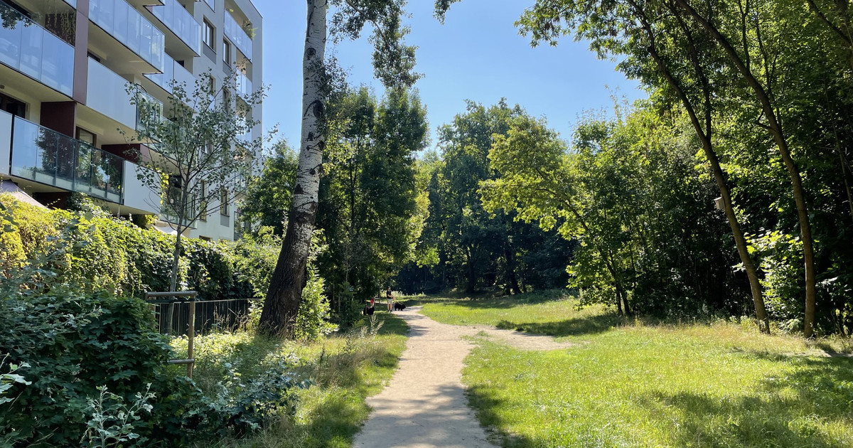 Mieszkanie – Żoliborz - Widok 2