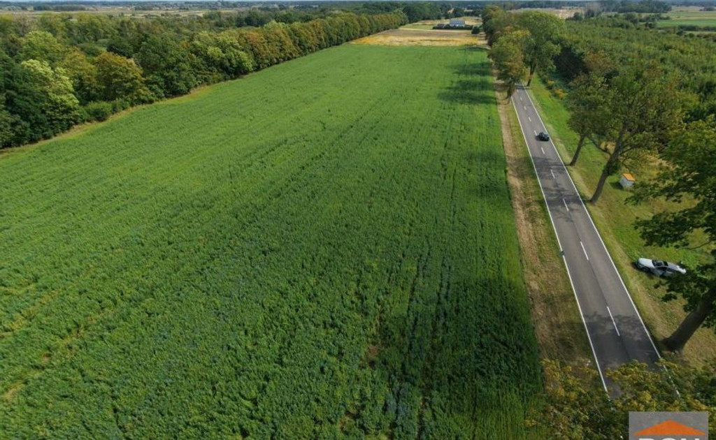 Działka na sprzedaż - Widok 2