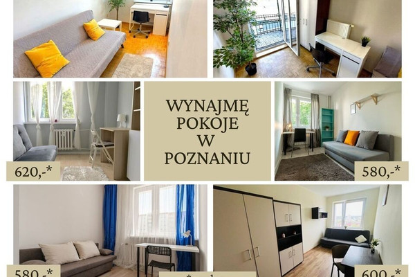 Pokój do wynajęcia