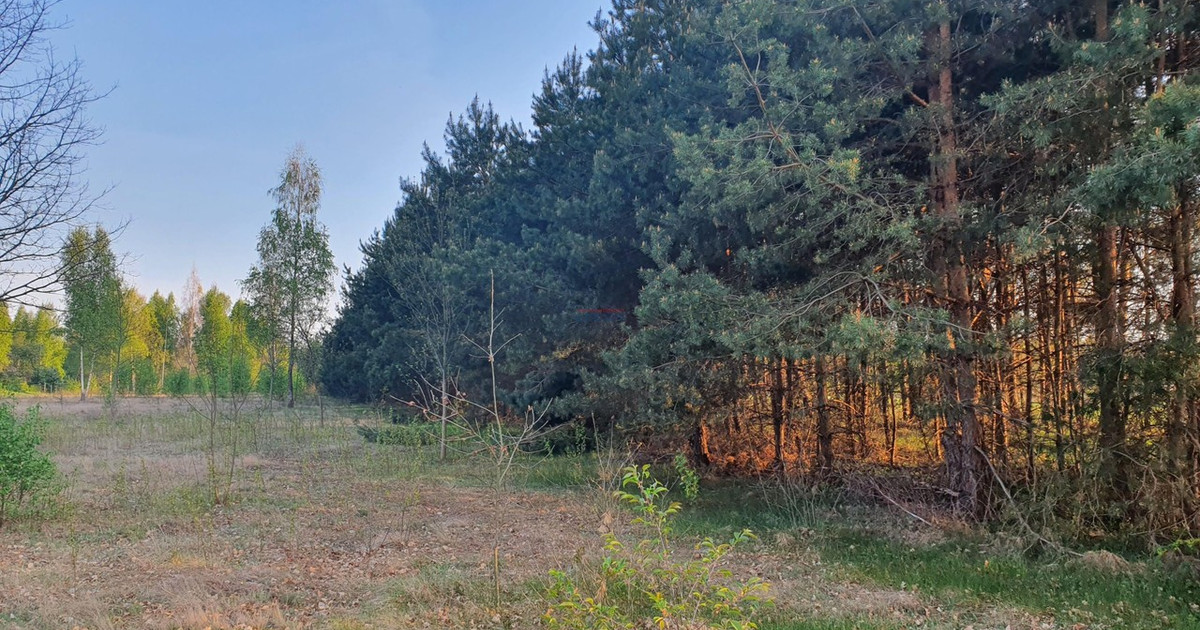 Działka na sprzedaż - Widok 2