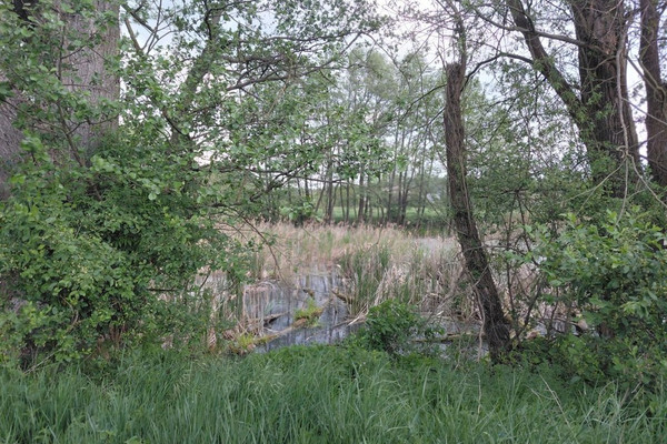 Grond, 1135 m²