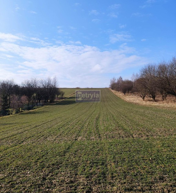 Działka na sprzedaż - Widok 2