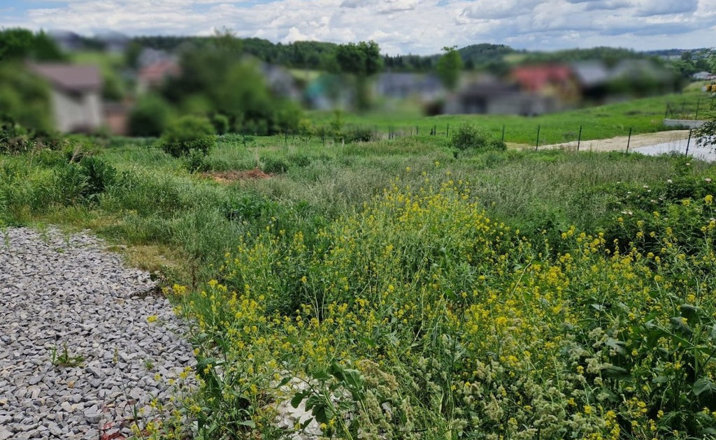 Działka na sprzedaż - Widok 2