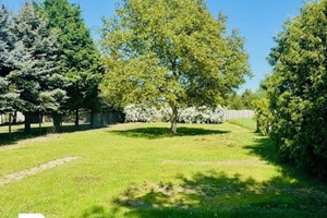 Działka z pięknym ogrodem -Tarnowo Podgórne 910 m² 379 000 zł 23 Października, Tarnowo Podgórne, Tarnowo Podgórne, poznański, wielkopolskie