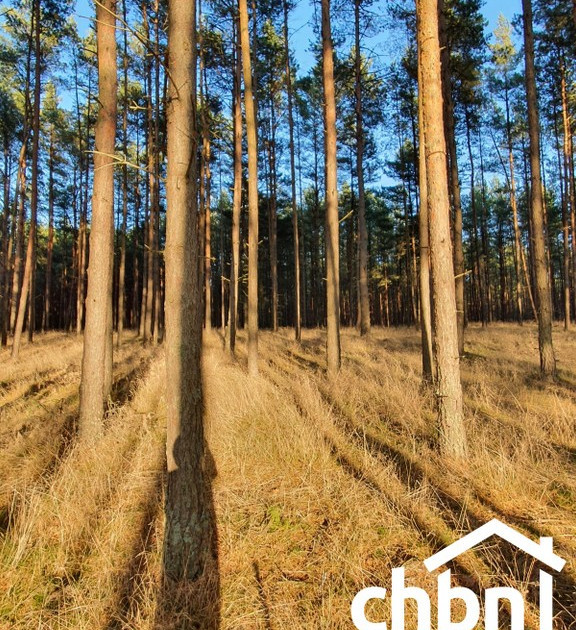 Działka na sprzedaż - Widok 2