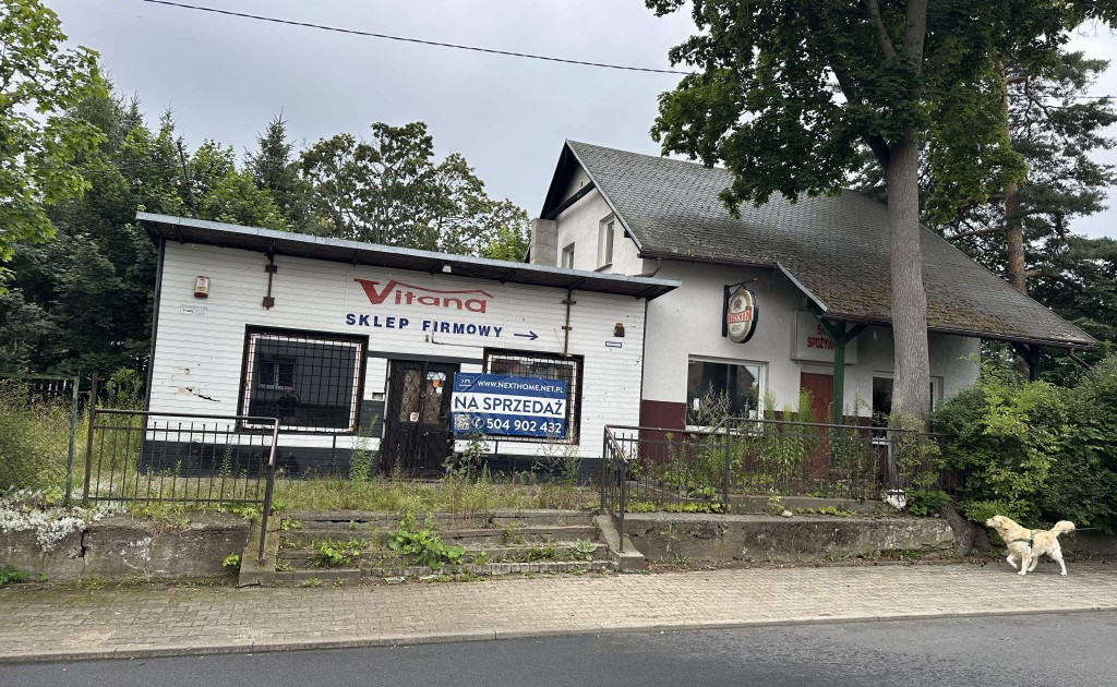Lokal handlowy, usługowy na sprzedaż - Widok 2
