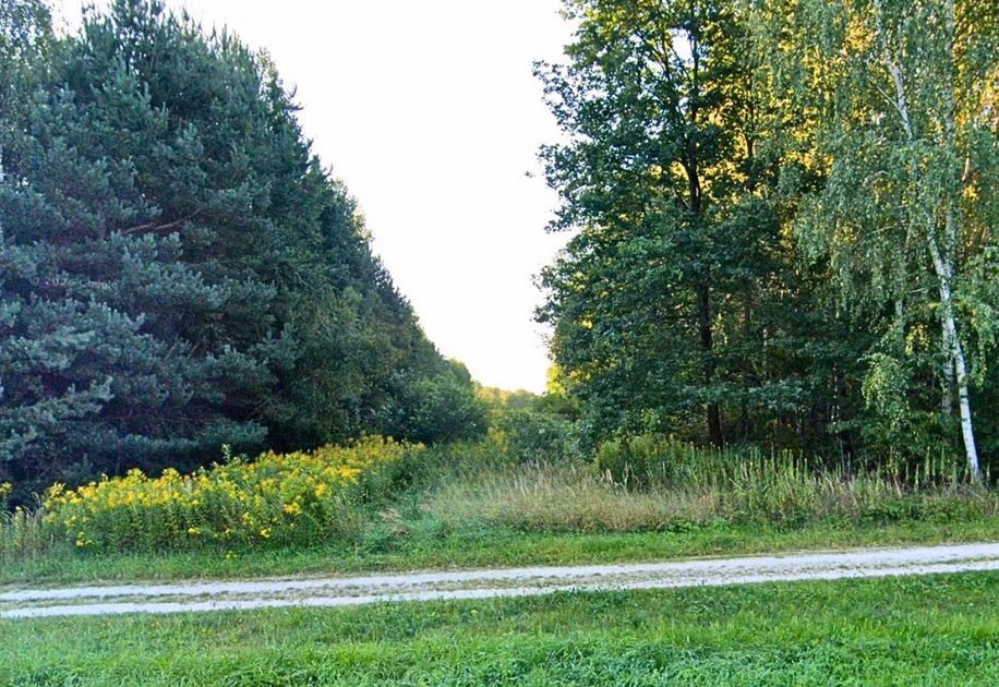 Działka na sprzedaż - Widok 2