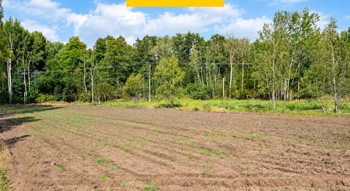 Działka na sprzedaż - Widok 2