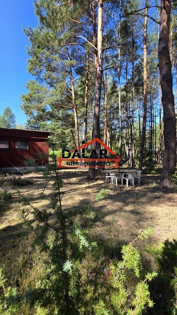 Dom – Grabów nad Pilicą - Widok 2