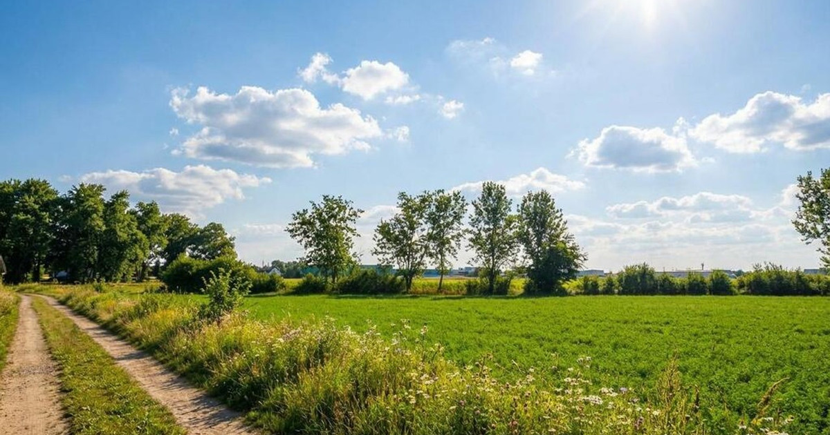 Działka na sprzedaż - Widok 2