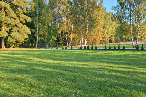 Art, 821 m²