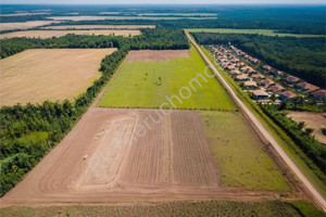 Działka przemysłowo-usługowa 12080 m²– Mszczonów