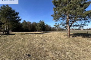 Dwie działki budowlane z widokiem na las, bardzo spokojna okolica, media