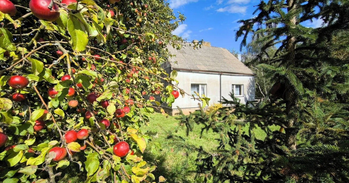 Dom – Mogilno - Widok 2