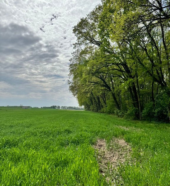 Działka na sprzedaż - Widok 2
