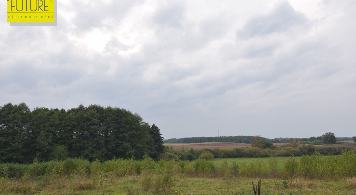 Działka na sprzedaż - Widok 2