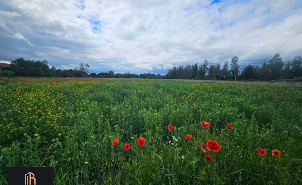 Działka na sprzedaż - Widok 2