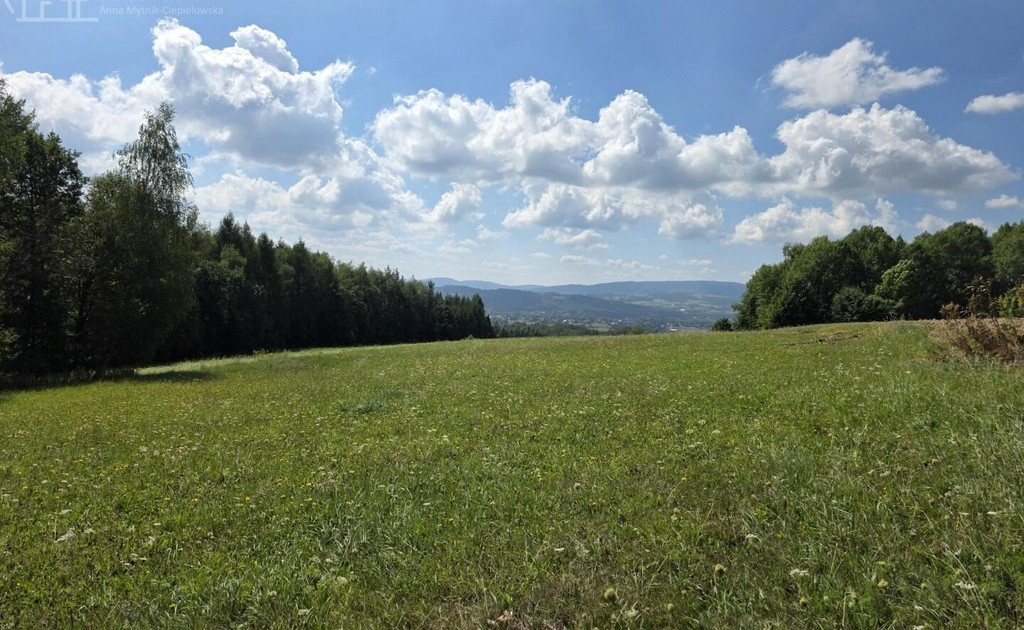 Działka na sprzedaż - Widok 2
