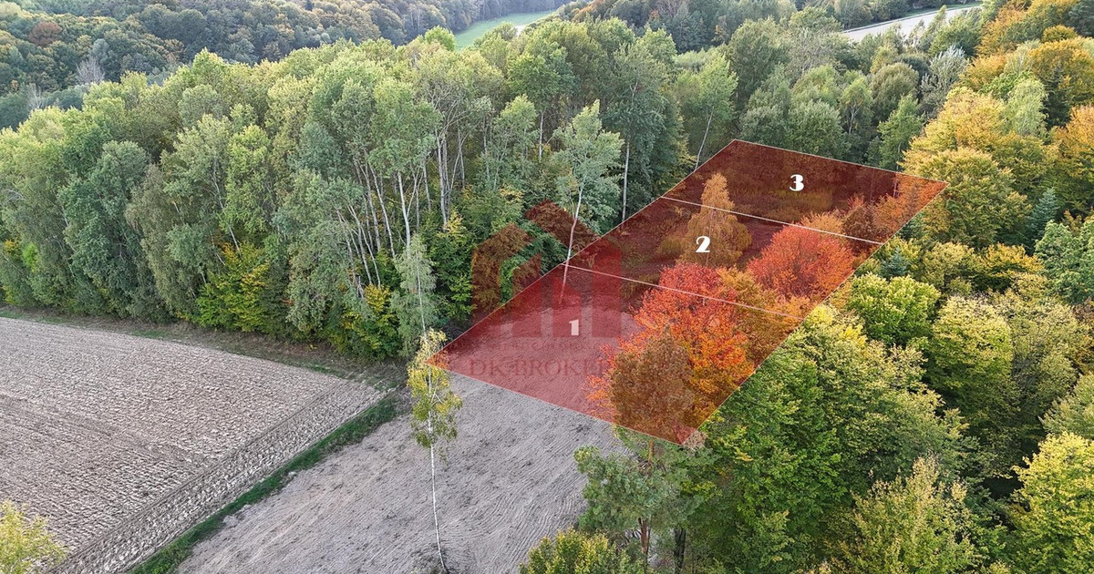 Działka na sprzedaż - Widok 2