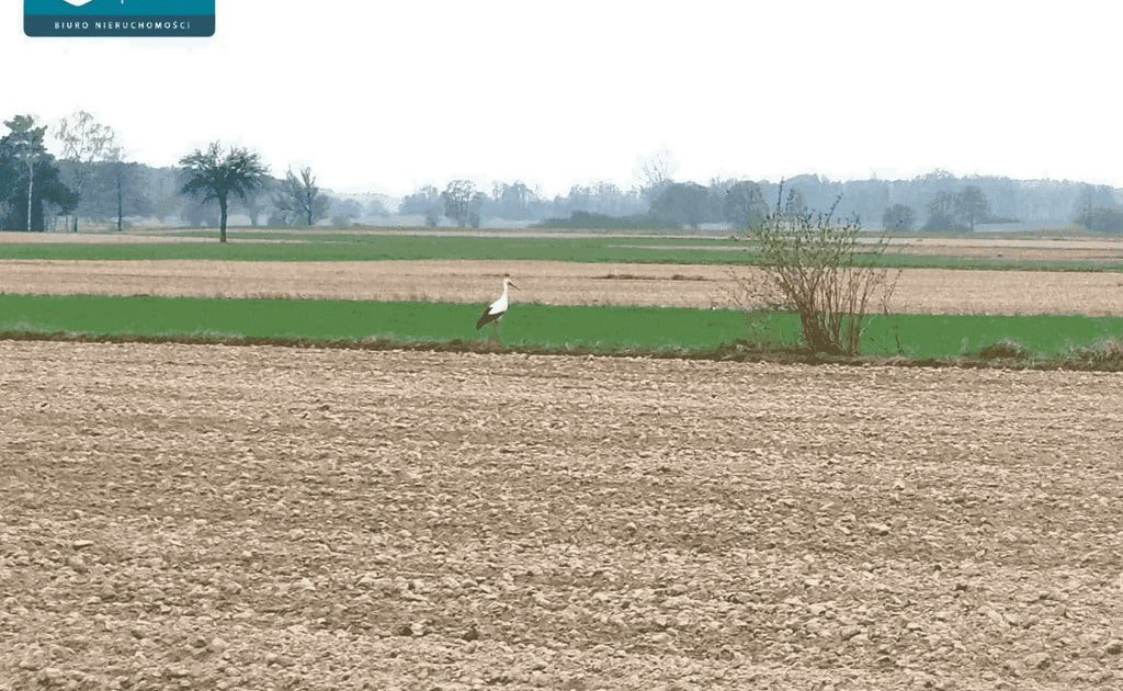 Działka na sprzedaż - Widok 2