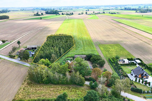 Las, 4463 m² (MPZP- zabudowa jednorodzinna)