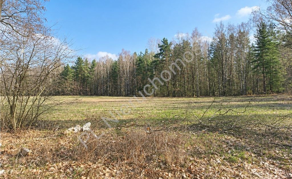 Działka na sprzedaż - Widok 2