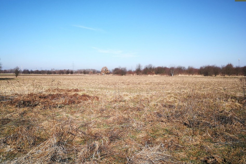 Działka na sprzedaż - Widok 2