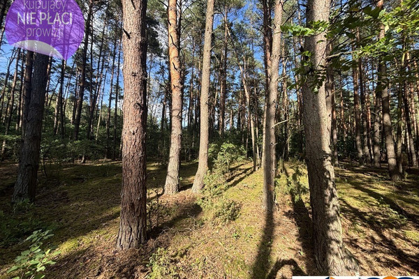 Terreno, 1500 m²
