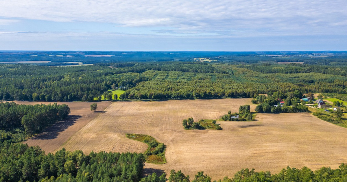 Działka na sprzedaż - Widok 2