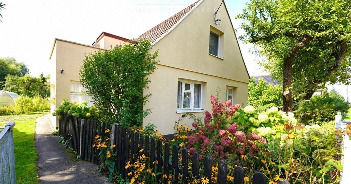 Dom – Dąbie - Widok 2