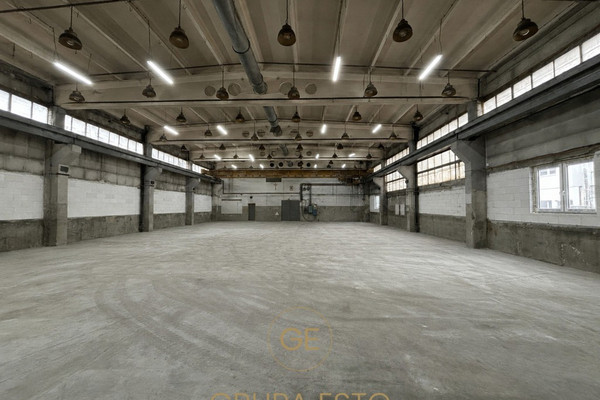 Lokal, 700 m²