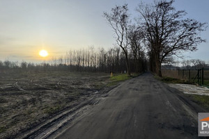 Zielona okolica rzeka dziwna działka na Wyspie