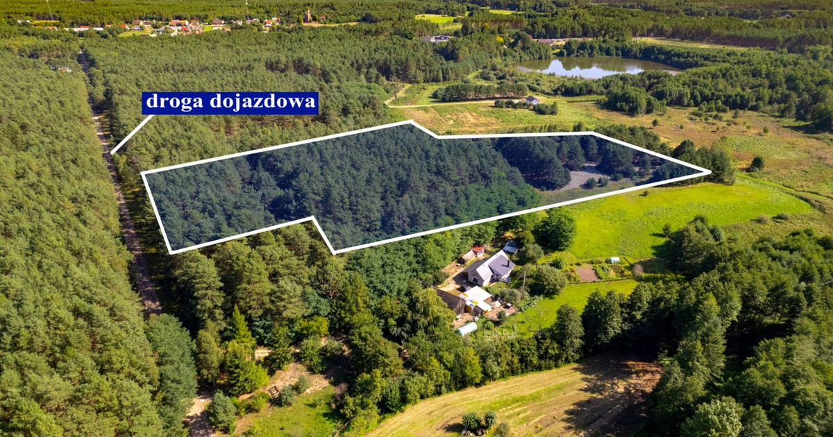 Działka na sprzedaż - Widok 2