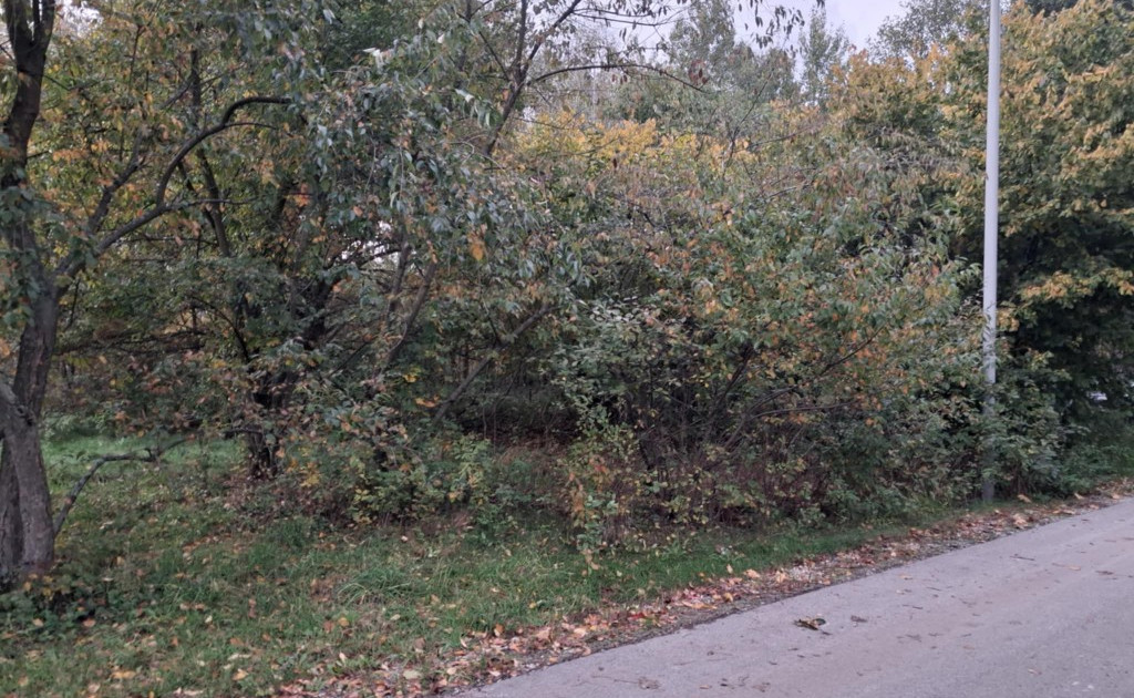 Działka na sprzedaż - Widok 2