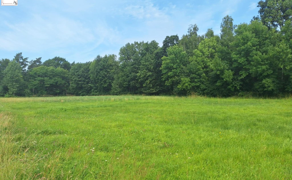 Działka na sprzedaż - Widok 2