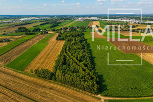 Działka na sprzedaż, 41047 m², Stryków Zelgoszcz