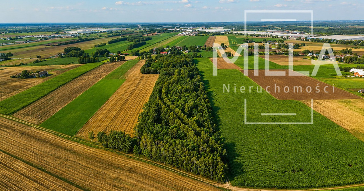 Działka na sprzedaż - Widok 2