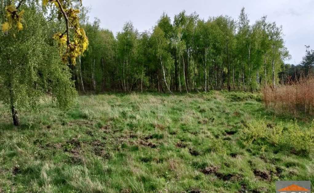Działka na sprzedaż - Widok 2