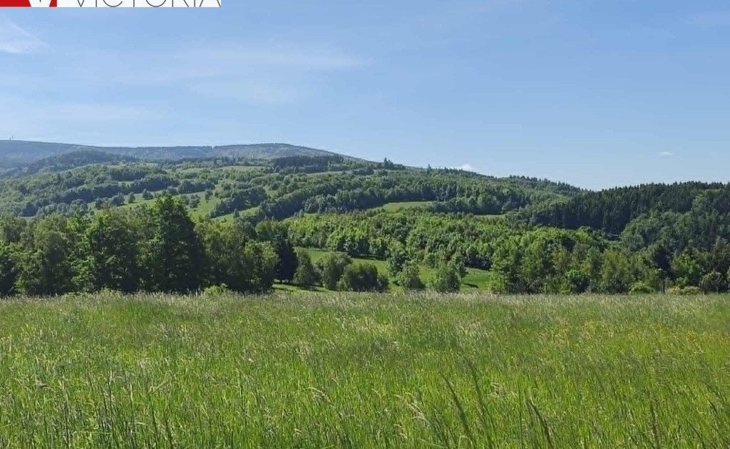Działka na sprzedaż - Widok 2
