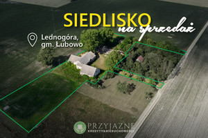 SIEDLISKO na sprzedaż - LEDNOGÓRA, gm. Łubowo ,7446m²