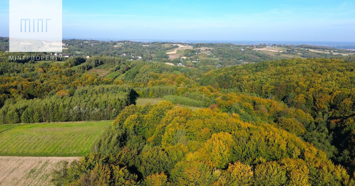 Działka na sprzedaż - Widok 2