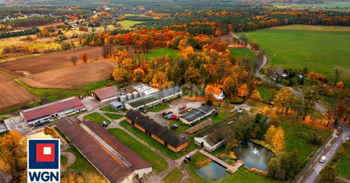 Gospodarstwo rolne na sprzedaż - Widok 2