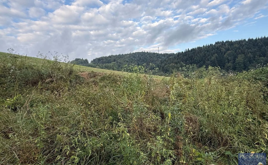 Działka na sprzedaż - Widok 2